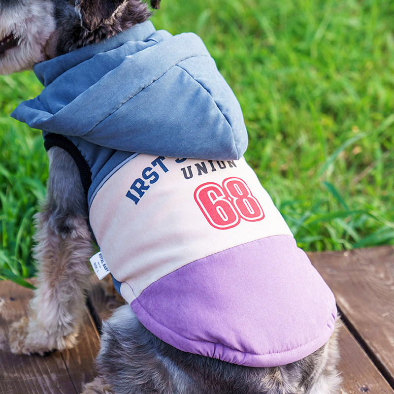 Oso de peluche de dos patas Bomei chenari Chaleco de perro pequeño Ropa de perro mascota transfronteriza engrosada Otoño e Invierno