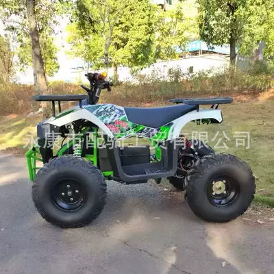Electric Beach Car 48V500W Elektrikli motosikletlər