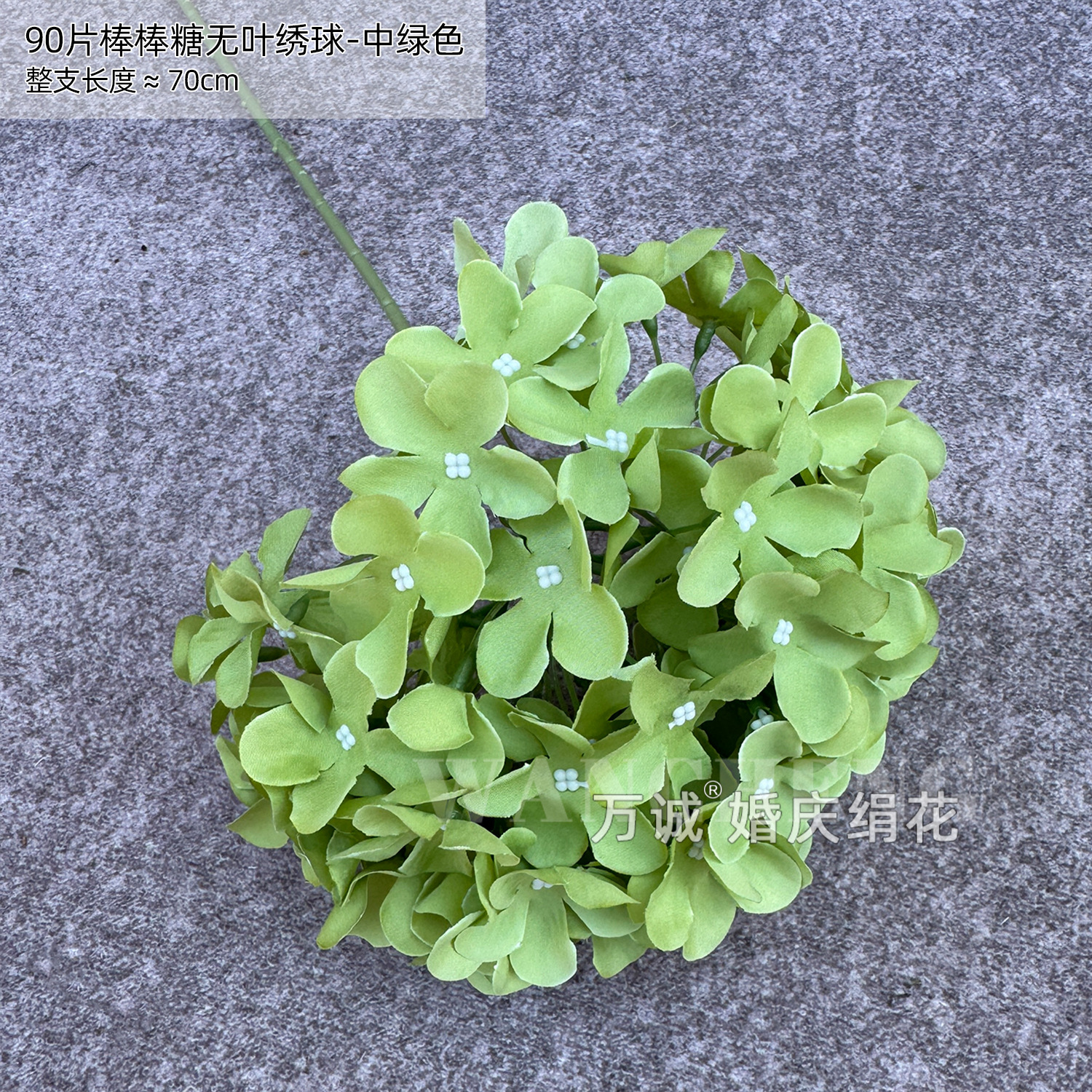 녹색 잎이 없는 90개의 롤리팝 수국