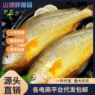 ���S�~���r�S���~�������S�~���r���rˮ�a������r�������l