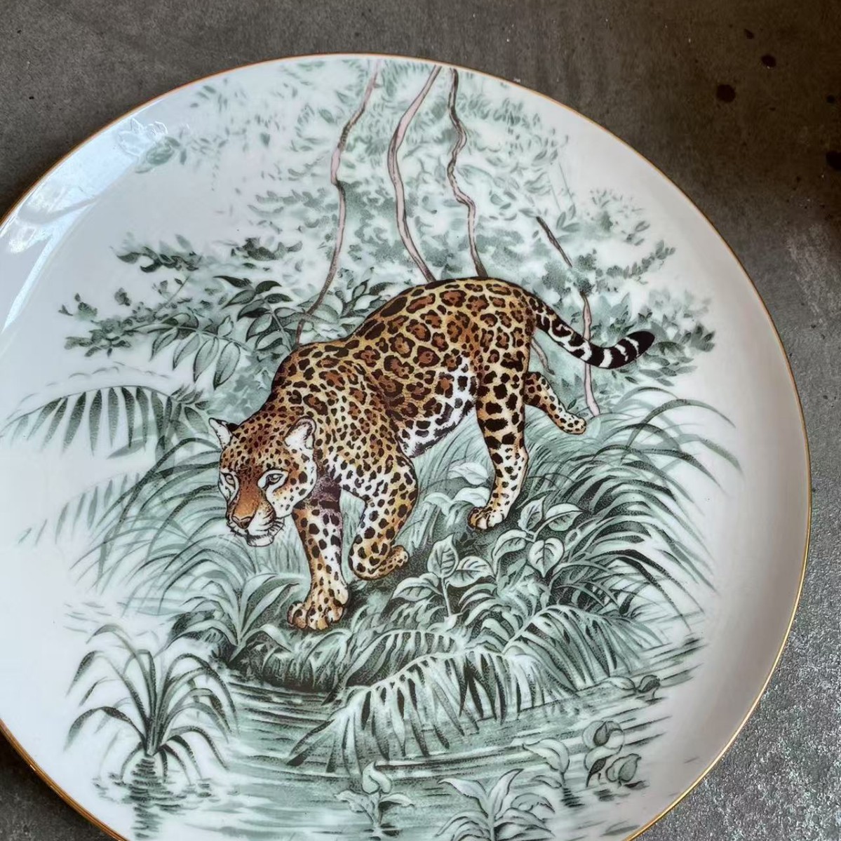 Lujo ligero de estilo europeo, porcelana de hueso de la selva ecuatorial, taza de café, platillo, taza de té de la tarde, juego de caja de regalo, regalo de boda de cumpleaños