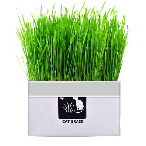 Manufacturer wholesale cat grass wheat seeds potted cats ready-to-eat hair ball tablets lazy cat snacks