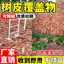 树皮覆盖物花盆表面泥土壤松树皮有机木屑彩色装饰绿植树坑火山岩