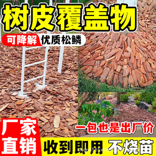 ��Ƥ���w�ﻨ������������ɘ�Ƥ�ЙCľм��ɫ�bGֲ��ӻ�ɽ��