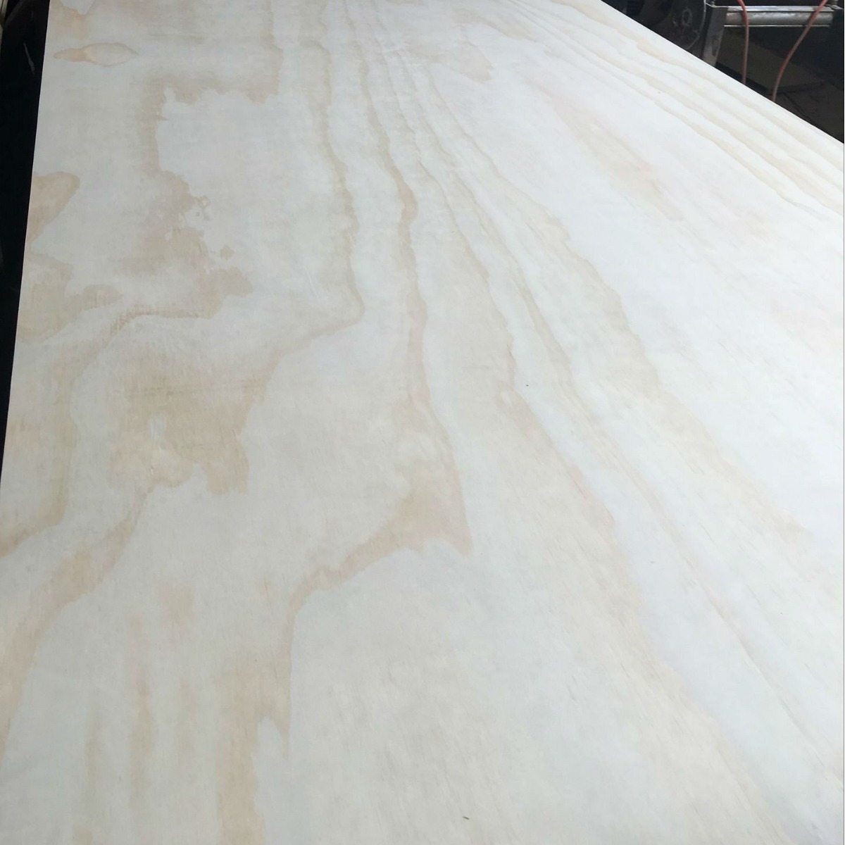 专业生产 13mm杨木家具板 松木胶合板 JASCARB认证品