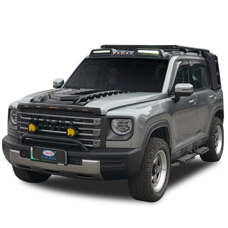 Tenxinrui es aplicable a haver Raptor lámpara de techo del coche piedra arena cubierta del escudo modificación negro Guerrero medio neto accesorios la cola