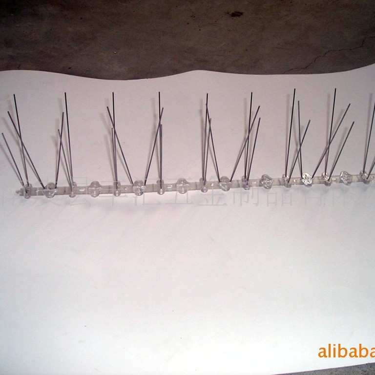 供应各种尺寸鸟刺(图) 塑料鸟刺   不锈钢鸟刺 建筑屋顶用