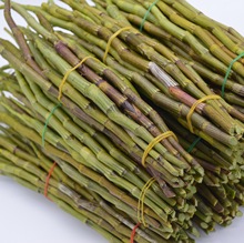 新鲜紫皮石斛基地直销云南高山正宗紫皮石斛鲜条现采现发铁皮石斛