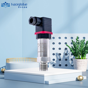 Ceramic Pressure Sensor Industrial Automobile Hospital Equipment High Precision Pressure Transmitter Haohua