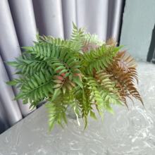 �S�����lɫ�ʲ�˹�ݷ���Gֲާ�ֲ���ɫɭϵ��Y�҃�ֲ��b�