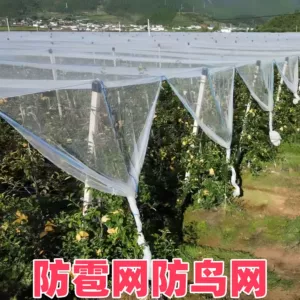 [防雹网果园防鸟网葡萄网农用防护网果树防冰雹网果园防雹网抗老化]