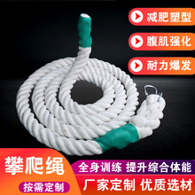 ���ް�ɫ�ʵ��K �w��Ӗ���K ����呟������w���\���K�� �� �����K