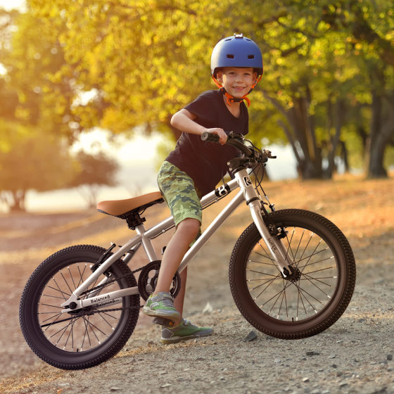 Children's Bicycle Boys and Girls Children's Bicycle 16/20 