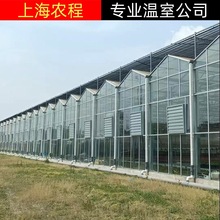 展厅玻璃温室 联体大棚骨架 温室大棚销售 连栋塑料大棚