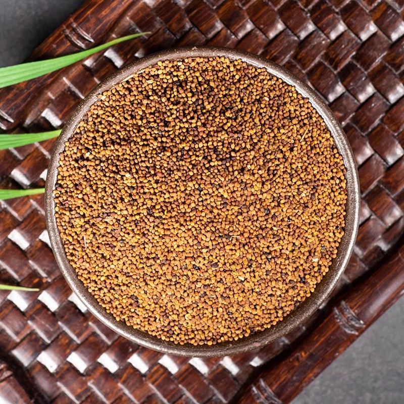 Dried Cuscuta Seed Tu Si Zi 500g Chinese Dodder Seed for Tea and Decoction in use
