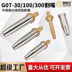 国家標準ステンレス鋼切断ノズル G07-30/100 分割プロパン切断ノズル 梅の花切断液化ガス切断ノズル