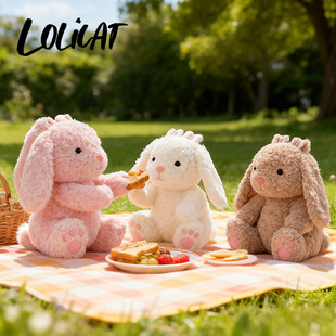 �������Lolicat����ؐ���p�����L����ë�q��߹���������ż�Y��