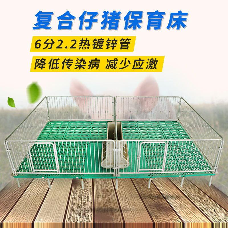 恒富机械复合仔猪保育床设备 养猪设备小猪保育床 钢丝网底保育床