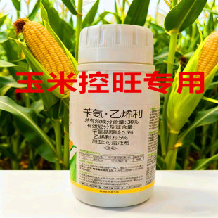 ���׿��������а���ϩ�����r�����׿s�������ؿ��������a�{��300g