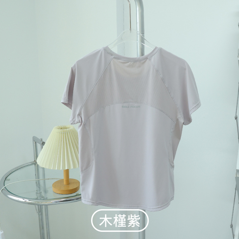 히비스커스 퍼플