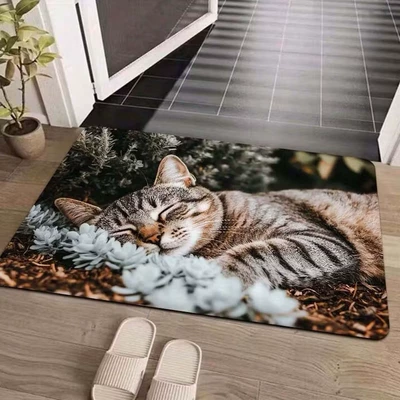 Avtomobil döşəmə paspasları: easy to maintain, entryway entrance mat - little-kitten-3-4060cm-crystal-velvet