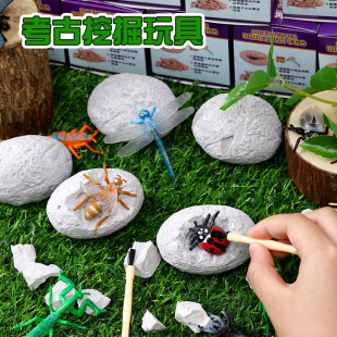 New simulation insect archaeological excavation egg insect fossil model treasure excavation suit children's supplies wholesale