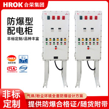 防爆配电柜防爆隔爆型配电柜铝合金IP65防护等级壁挂式/立柱式