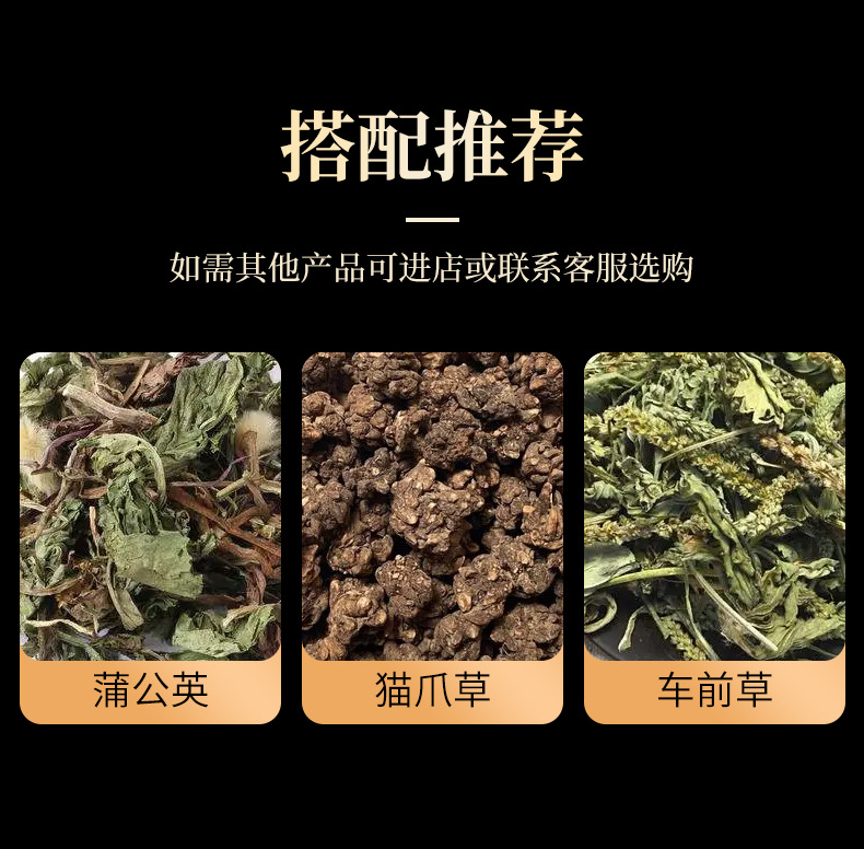 Dried Houttuynia Herb Yu Xing Cao 500g Sulfur Free Fish Mint Tea Loose Herbal Infusion from Dabie Mountains in use