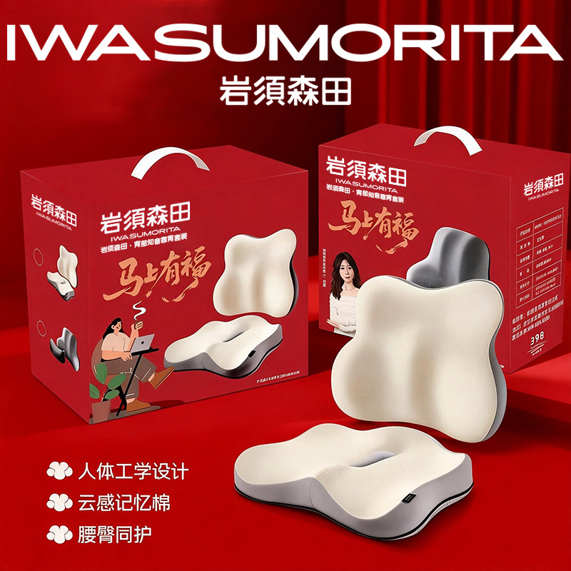 Yanxusen Tian Memory Foam Lumbar Support Cushion for Office and Car Use, Dual-Purpose Waist Support Pillow for Seat Backrest