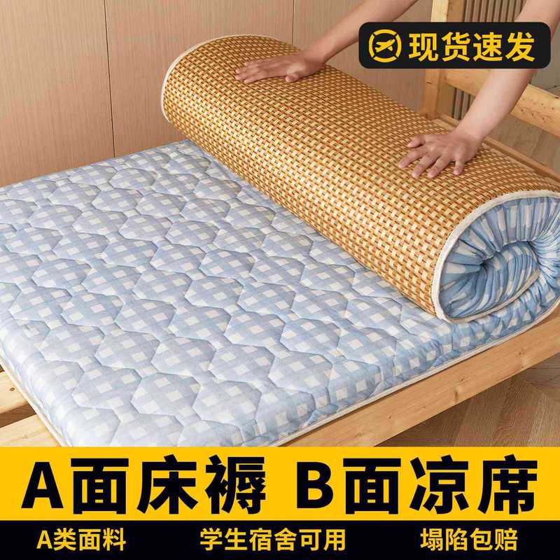Dormitory Student Single Summer Ice Silk Mat Mattress Cover Soft Cushion Tatami Mat Mattress Winter and Summer Dual-Use Dormitory Student Single Summer Ice Silk Mat Mattress Cover Soft Cushion Tatami Mat Mattress Winter and Summer Dual-Use