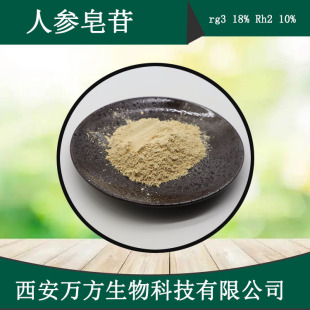 Ginsenoside Rg3 18% Rh2 10% Wanfang in stock 100 g/bag wholesale ginsenoside monomer rh2