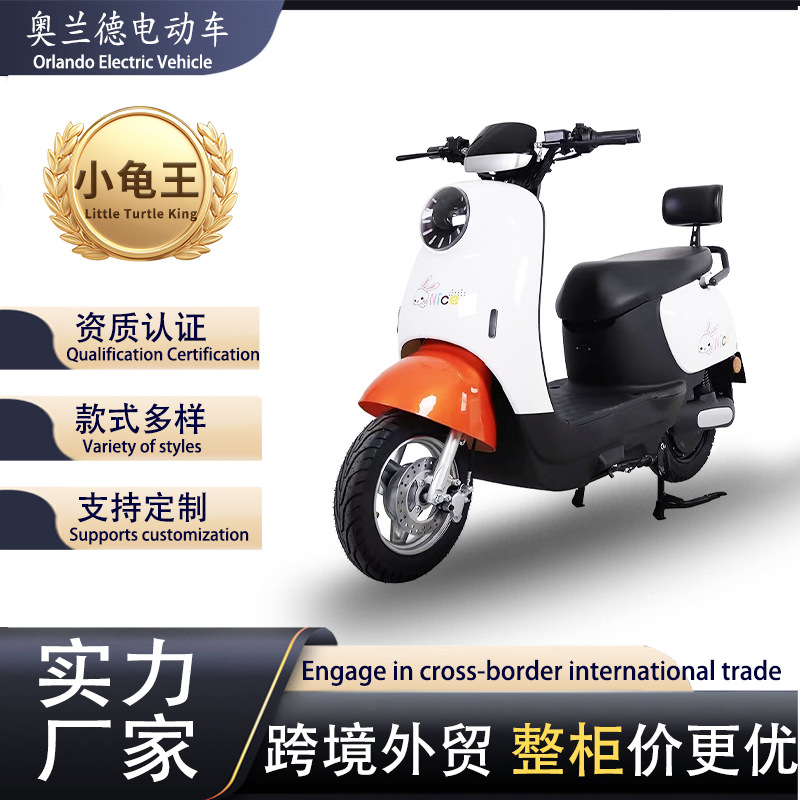 Little Turtle King long-range high-speed electric motorcycle 10inch with vacuum tires and high horsepower is a hot seller in the Central Asian market