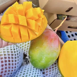 橙;番薯类;苹果