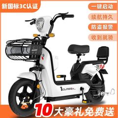 2025 新しい国家標準大人用電動自転車共同購入リチウム電池バッテリー車両ライセンス取得可能な二輪スクーター