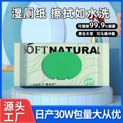 厂家批发碧c湿厕纸冲马桶不堵擦屁股可冲散降解抑菌洁厕湿巾40抽|ru