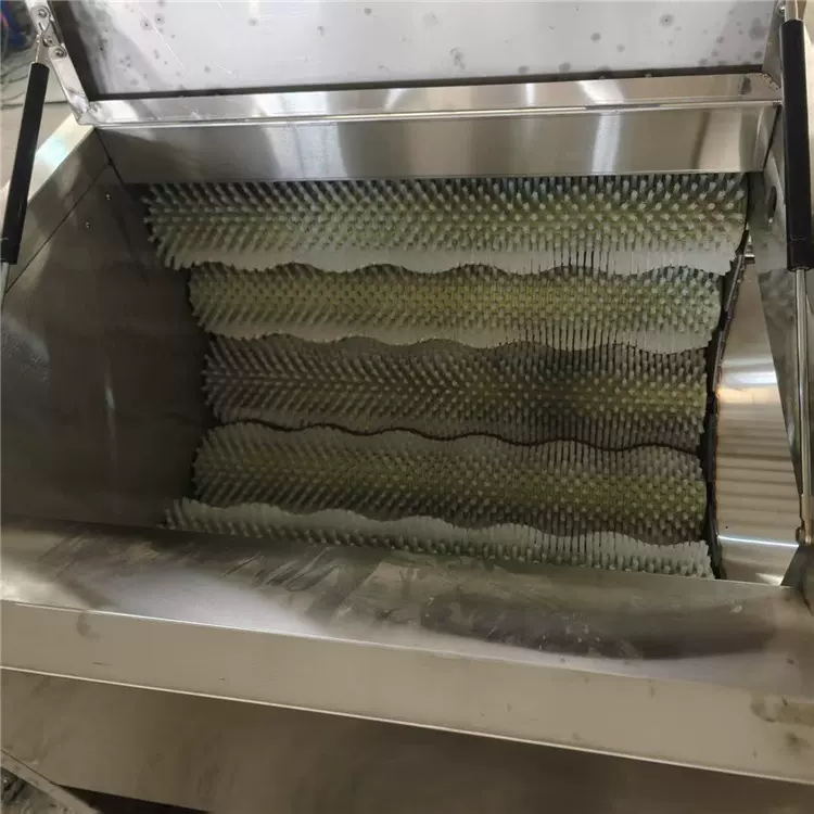 毛辊去皮清洗机胡萝卜土豆根茎类果蔬清洗去泥机商用自动洗菜机厂