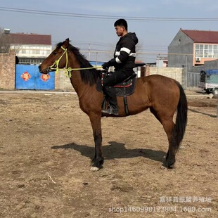 ���R���w�R�x���ヺͯ�R���^�T���R��Ʒ�����R�O���m���R�Ј��r��