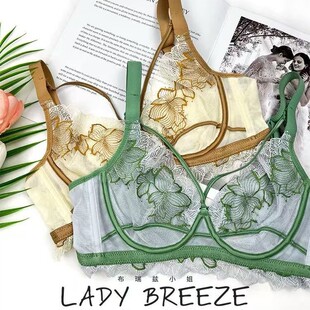 6255 Sexy Lace Underwear Women's Memory Soft Ring Big Breast Revealing Small Adjustable Push-Up Bra Summer Ultra-Thin
