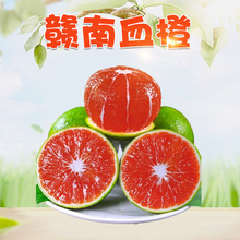 江西赣州血橙 代发3/9斤新鲜早熟橙子当季柑橘皮薄多汁当季红血橙