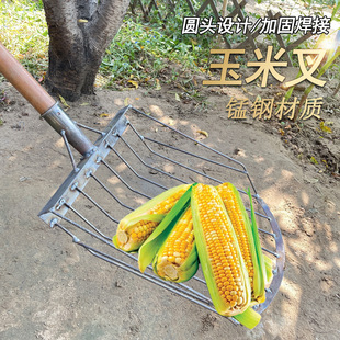 Agricultural Corn Shovel for Harvesting Corn Cobs in the Northeast, Corn Cob Shovel, Corn Husking Tool, Coal Fork, Crop Tool