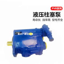 ʿPVB5-FRSY-40-C-12/PVB5-LS-20-C-11/PVB6ͱ