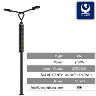 8MLEDsolarstreetlighting太阳能板集成灯杆10米太阳能路灯超亮