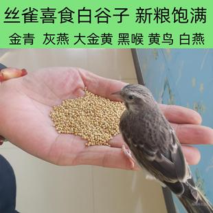 �Bʳ�׹��ӽ������ں�����S�S�B���Ͻzȸ�B�Z��Ϻڼ��K��