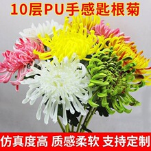 �ٻ���ջ���ɫ�Pβ��зצ��PU���b��ָл���������ζ�ɻ�