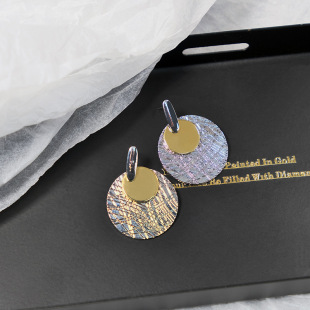 European and American Exaggerated Earrings Wholesale Niche Design Personality Metal Round Women's Ear Jewelry Light Luxury Fashion Long Earrings