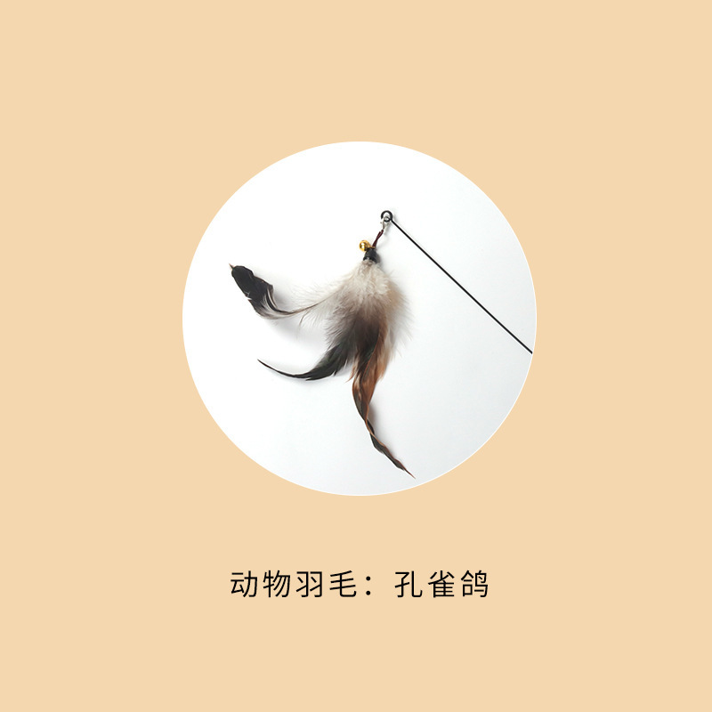 CFA試合級の猫をからかう棒の木の柄は猫のおもちゃの羽の子猫をかむことに耐えます。|undefined