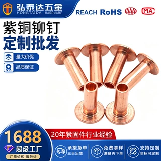 供应平头半空心紫铜铆钉 半空心紫铜铆钉 五金铆钉 平头红铜铆钉