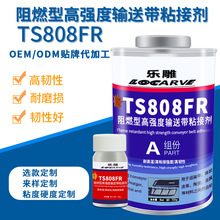 �ɴ���ِ��TS808FR��ȼ�͸ߏ���ݔ�͎�ճ�ӄ� ݔ�͎����^ճ���zˮ