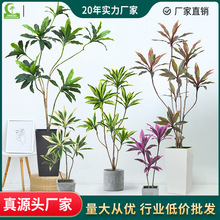 厂家批发仿真巴西铁绿植盆栽室内橱窗植物巴西木仿生摆件绿植装饰