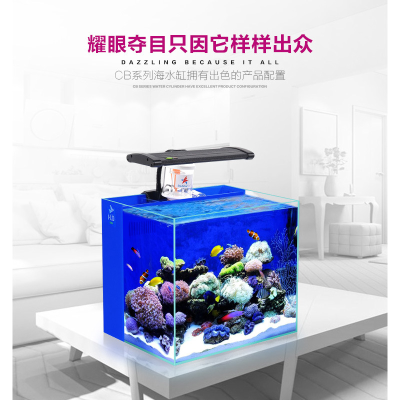 超白海水鱼缸水族箱 小型海水珊瑚小丑SPS LPS鱼缸 汇鳞鼎海水缸